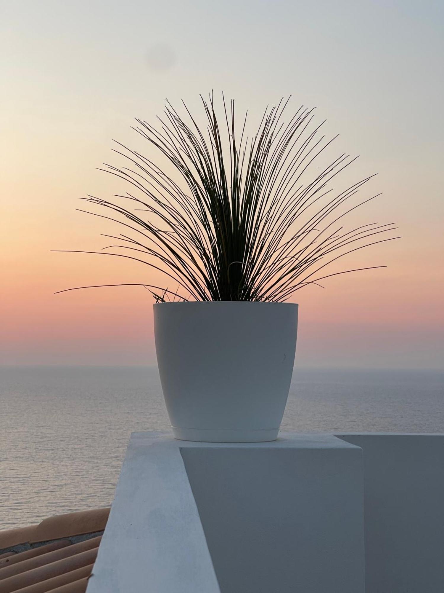 Villa Sofia *Luxury Experience In Calabria Zambrone Exterior photo
